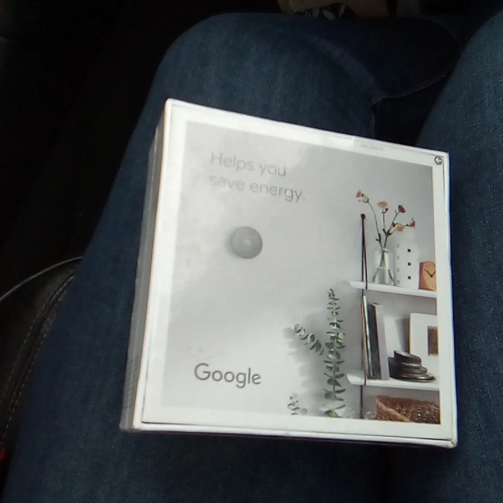 Google Nest Thermostat